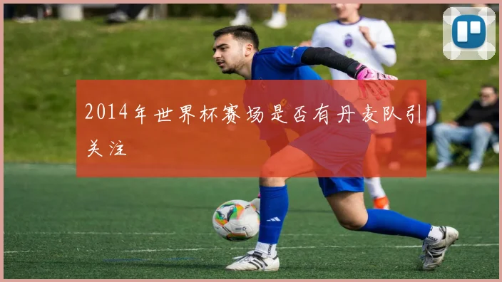 2014年世界杯赛场是否有丹麦队引关注