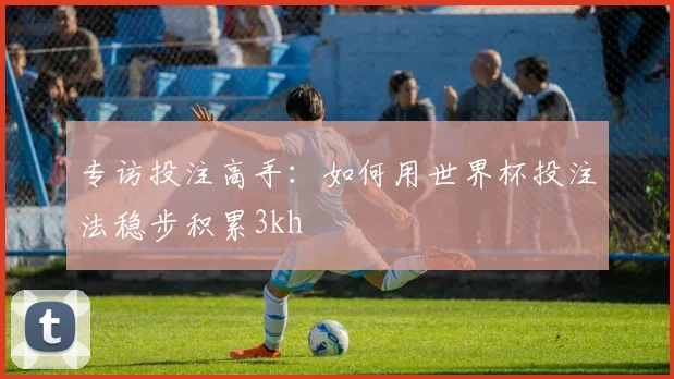 专访投注高手:如何用世界杯投注法稳步积累3kh