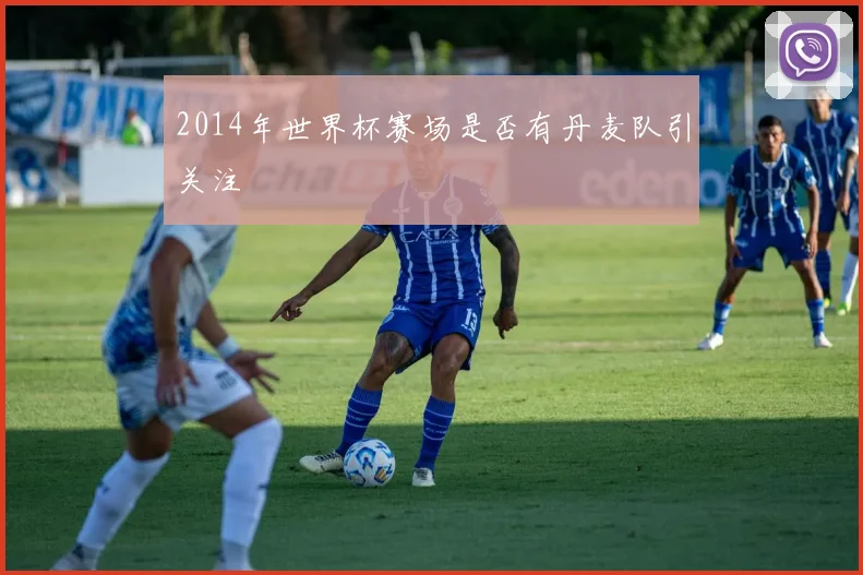 2014年世界杯赛场是否有丹麦队引关注