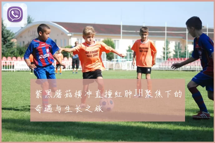 紫黑蘑菇横冲直撞红肿JH聚焦下的奇遇与生长之旅