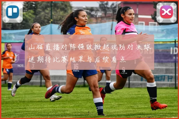 山猫直播对阵强敌掀起攻防对决球迷期待比赛结果与后续看点