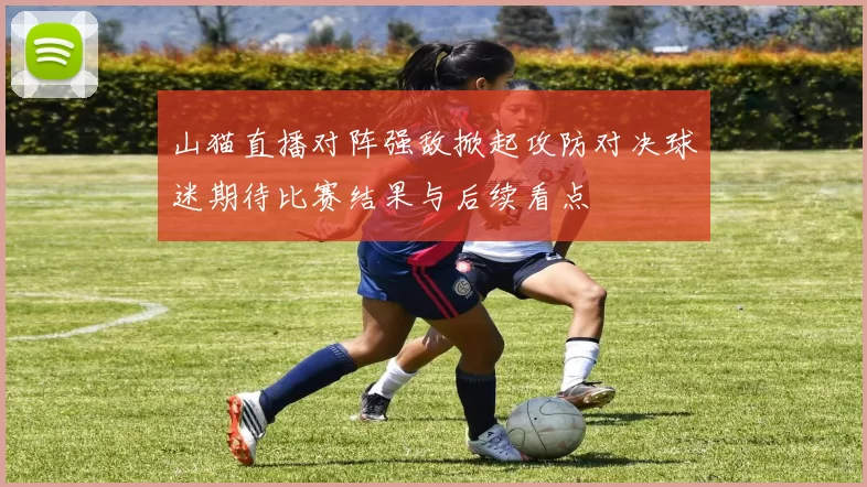 山猫直播对阵强敌掀起攻防对决球迷期待比赛结果与后续看点