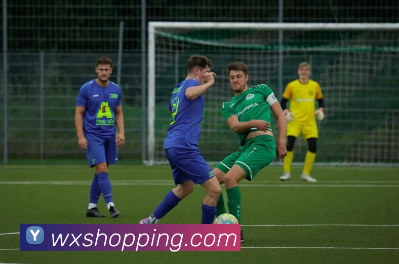 leyu乐鱼手机网页版发展历程